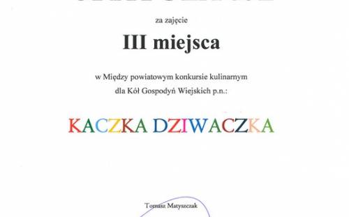 23.10.2020 r. Dyplom KGW Nowa Wioska (Kopiowanie).jpg