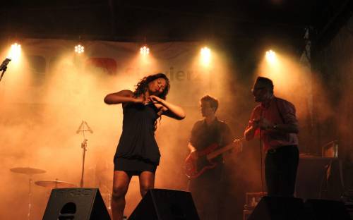 Blues na Siewierskim Zamku 2016 (16).JPG