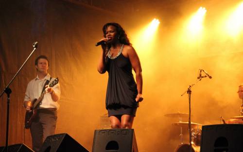 Blues na Siewierskim Zamku 2016 (18).JPG
