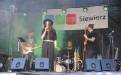 Blues na Siewierskim Zamku 2016 (12).JPG
